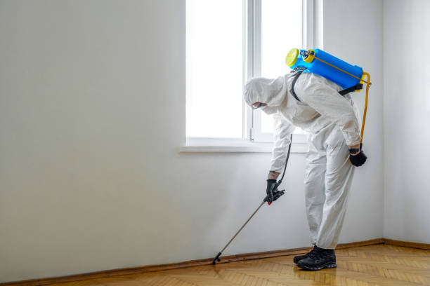 Best Flea Control Services  in Belvedere, CA