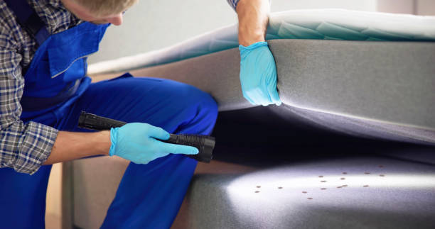 Best Cockroach Control Services  in Belvedere, CA
