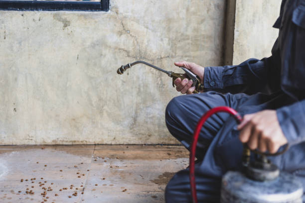 Best Termite Control Services  in Belvedere, CA